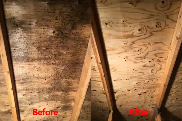 water damage restoration service Shively